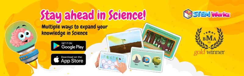 App Spotlight: STEMWerkz