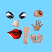 Logo for Body Parts - Basic