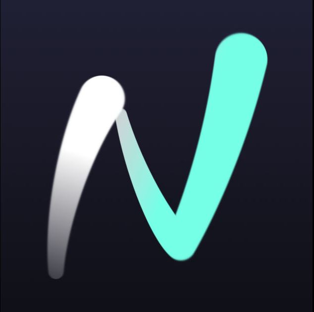Logo for NOISE 