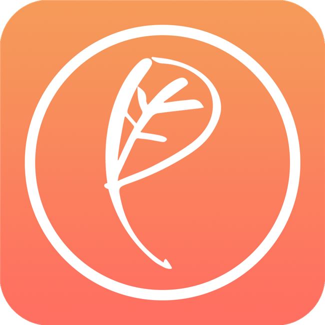 Logo for Respekt Beauty Meditation
